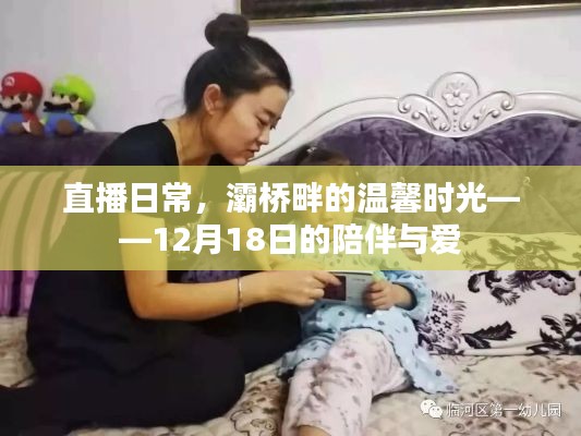 灞橋畔的溫馨直播日常，陪伴與愛的見證 12月18日特別篇