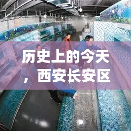 第8頁