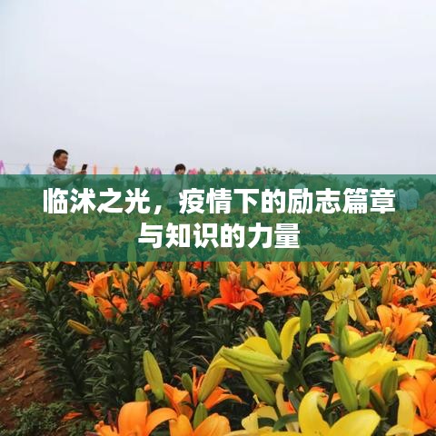 臨沭之光，疫情下的勵志篇章與知識的力量閃耀時刻