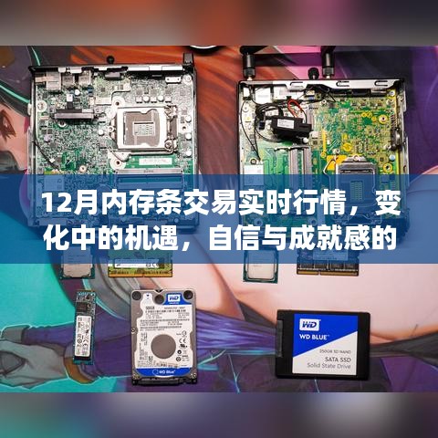 12月內存條交易實時行情，把握變化中的機遇，體驗成就感的源泉