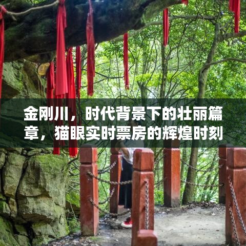 金剛川，時代背景下的壯麗篇章，實時票房輝煌創紀錄