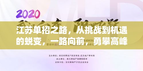 江蘇單招之路，挑戰(zhàn)變機(jī)遇，勇攀高峰之旅